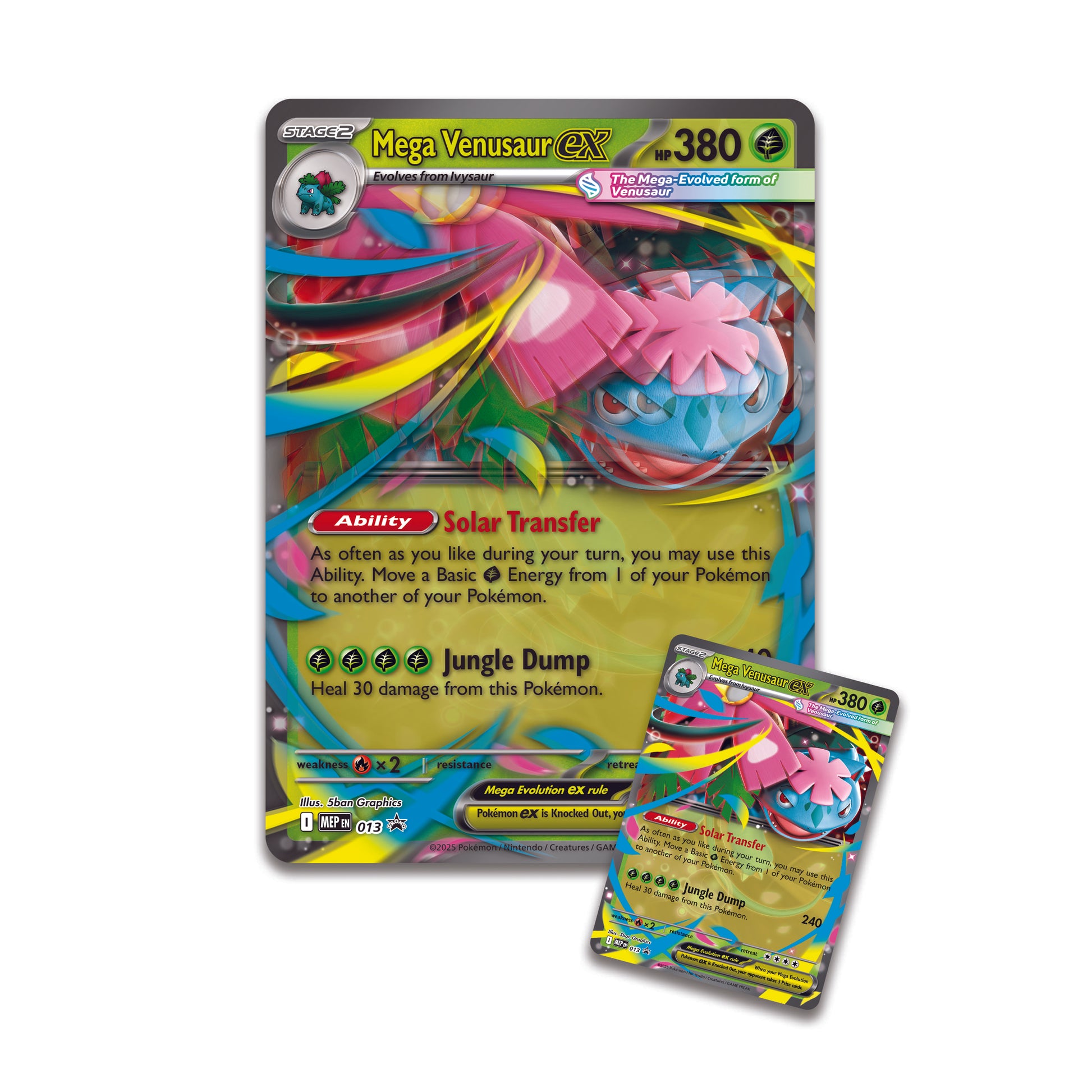 Venusaur EX en Mega Venusaur EX promokaarten uit de Premium Collection – inclusief jumbo-kaart | Evocollects
